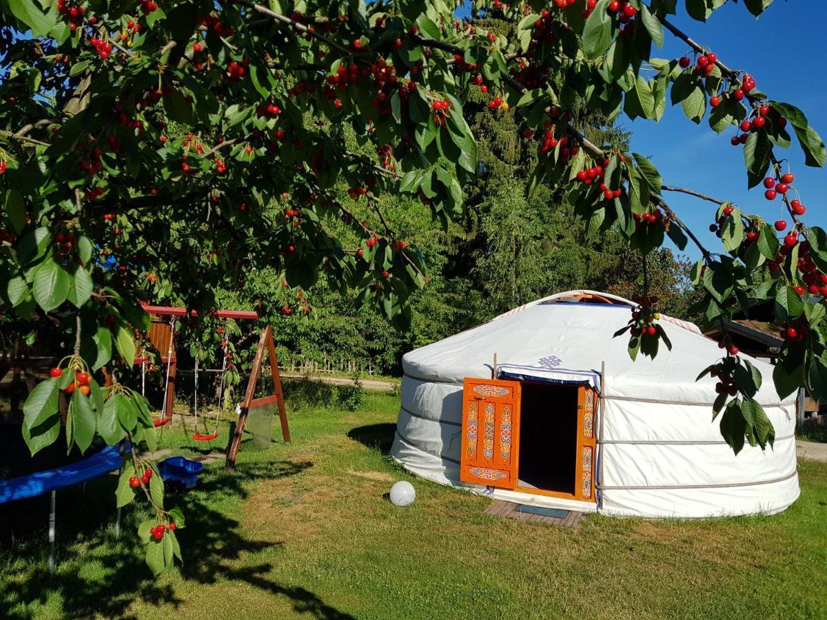 Pension New Nomads Zesch Bagian luar foto